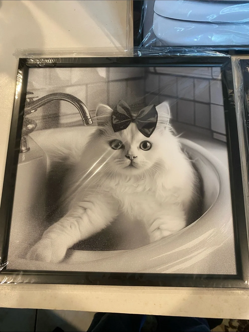 NIB Set of 3 Framed Black and White Prints of White Cats